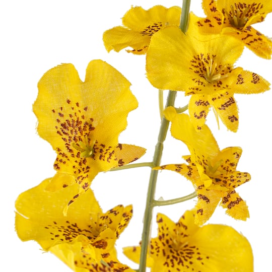 12 Pack: Yellow Dancing Orchid by Ashland®